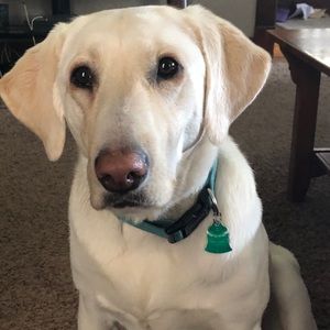 Meet your Posher, Karla